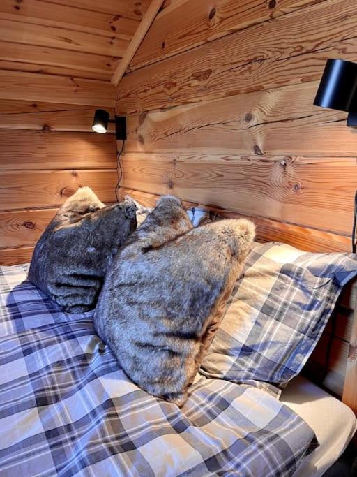 Tradisjonell Laftet Hytte Vradal Exteriér fotografie